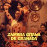 Colombia Archive World Music Collection- Zambra Gitana de Granada