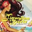 Hawaiian Breeze - Relax with Hawaiian Standard Songs