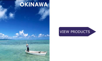 Okinawa Modern Roots
