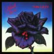 Black Rose (SHM-SACD Limited Edition)