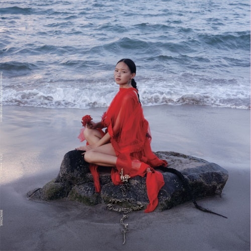 Dance on the Shoreline (LP Vinyl)