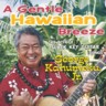 A Gentle Hawaiian Breeze - The Best of Slack Key Guitar Songs