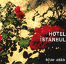 Hotel Istanbul