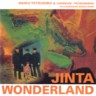 Jinta Wonderland