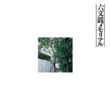 Rokumonsen Memorial  (Cardboard Sleeve) (2 CDs) (Remaster and High Quality CD - JVC HR Cutting) (Bellwood 40th Anniversary Collection)