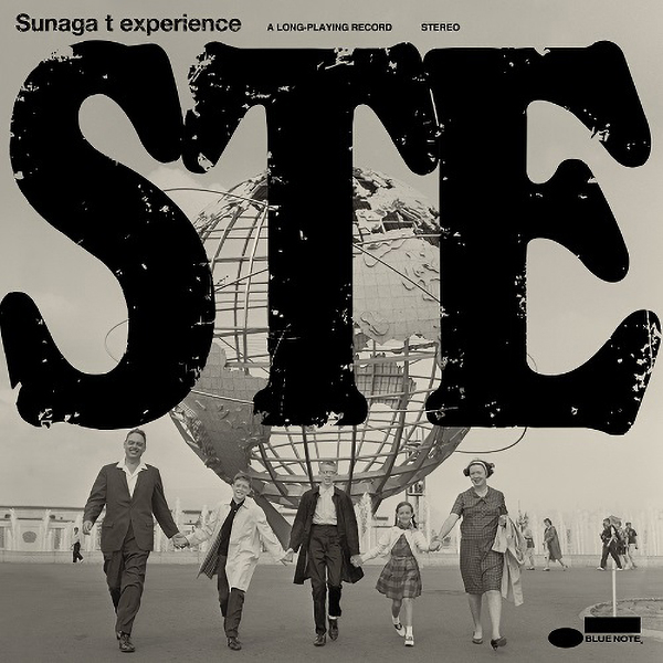 STE (x2 LP Vinyl)