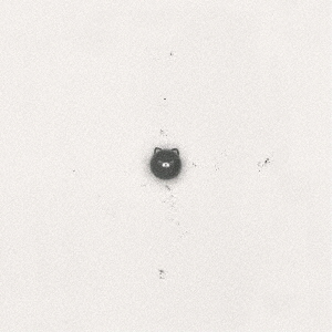 Thread of Stone - Hitorideni (LP Vinyl)