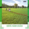 Khuc Nam Xuan