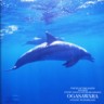 Voices of the Earth - Islands - Ogasawara - Oceanic Wonderland
